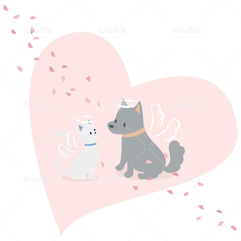 狗和猫带着温柔的表情走向天堂