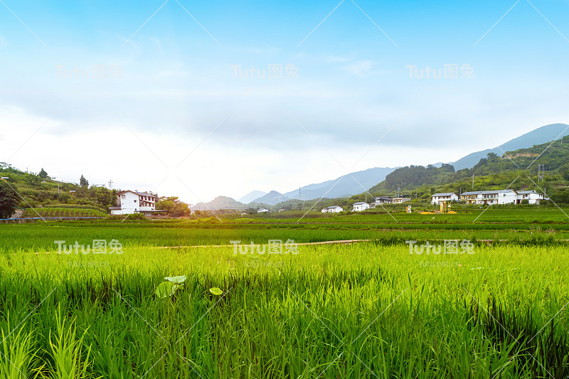 田园风光，中国农村的梯田