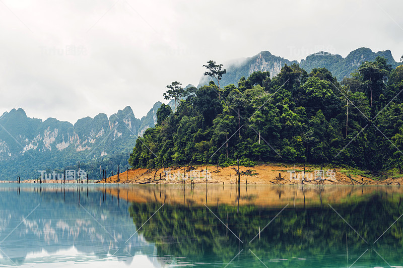 热带雨林