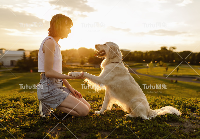 少女在夕阳下抚摸金毛猎犬的肖像