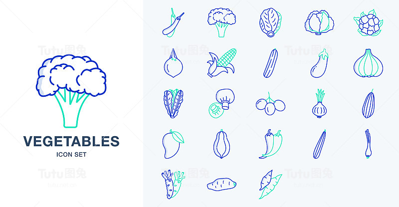 新鲜蔬菜轮廓彩色图标设置