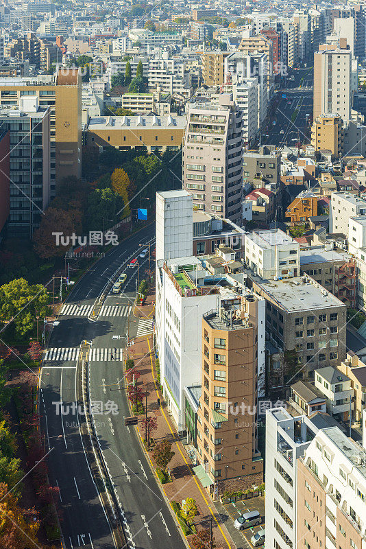 冬季雨后的雾中东京的城市景观，日本东京文京区的天际线，东京是世界上人口最多的大都市，被称为世界经济的指挥中心。