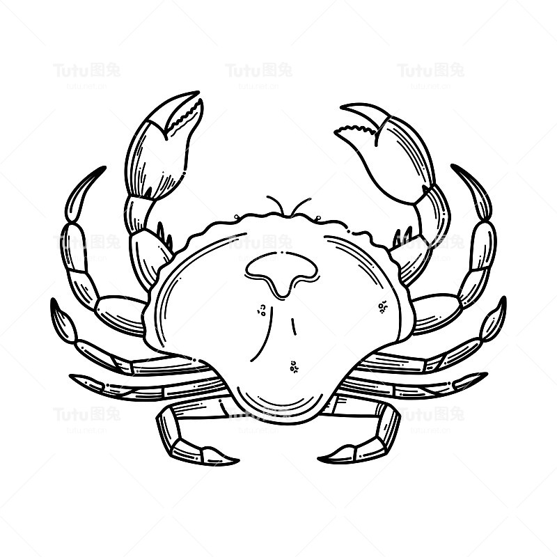 手绘螃蟹海鲜矢量插图。海洋水生水下雕刻矢量动物插图在白色背景。