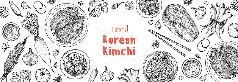 泡菜烹饪及泡菜配料，素描插图。韩国菜。健康食品，设计元素。手绘、包装设计。亚洲食物