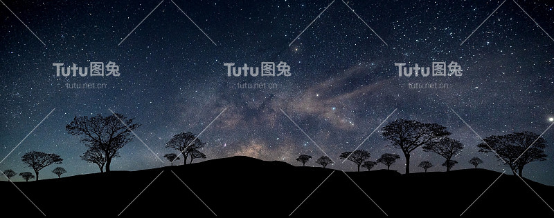 轮廓树与银河与星星在黑暗的山的背景。黑色的树在黑暗的夜空和许多星星。