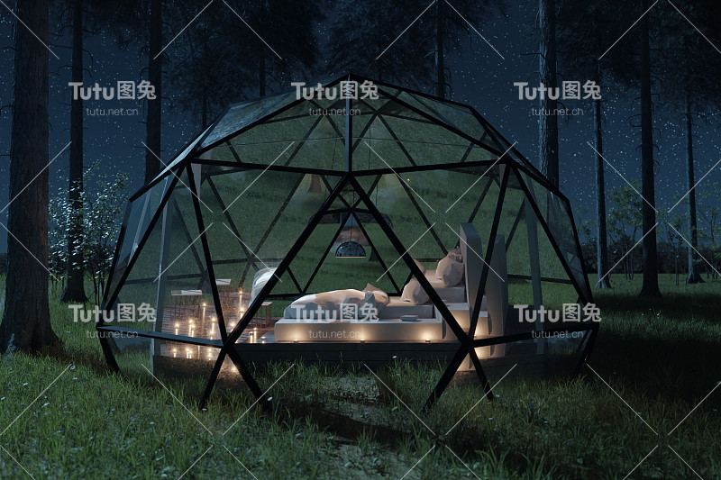 三维渲染的网格圆顶小屋与玻璃面板前的松树在夜间