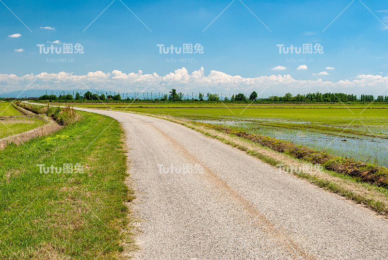 意大利北部洛梅利纳地区横穿稻田的乡村公路