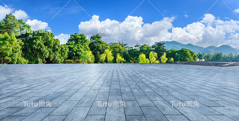 空旷的地面和绿色的森林背景