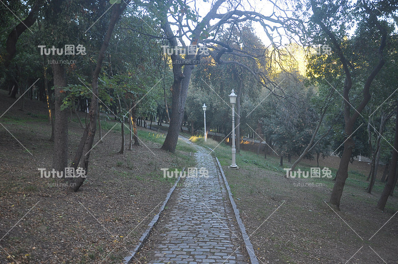 公园里的一条路