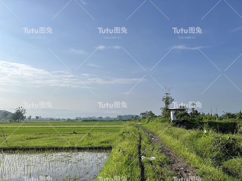 农场的稻田和天空景观都很美。