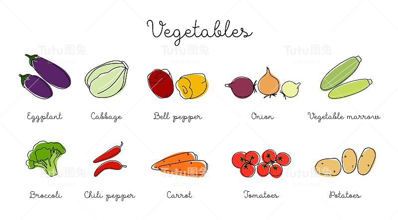 蔬菜矢量集轮廓与彩色元素。收集不同类型的蔬菜在线条艺术绘画风格。