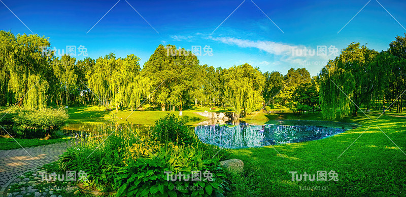 一个整洁的城市公园的美丽全景，有荒芜的小路，一个小池塘和绿色的树木，草地和灌木。