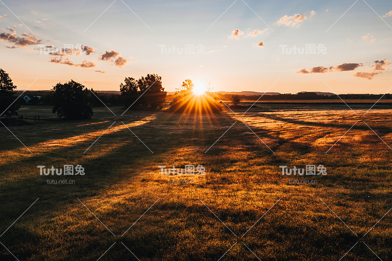 日落前，田野上明亮的阳光令人惊叹
