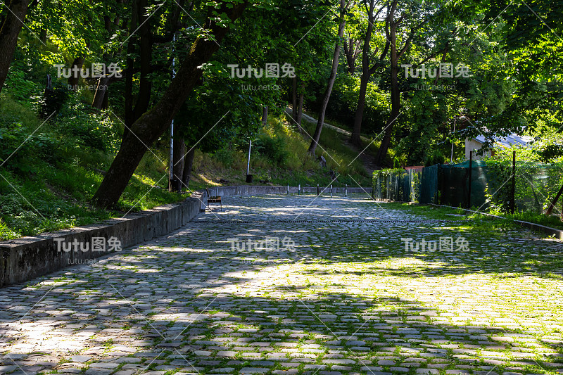 一条穿过美丽的绿色公园的小路。阳光明媚的夏日。树木在鹅卵石上的影子