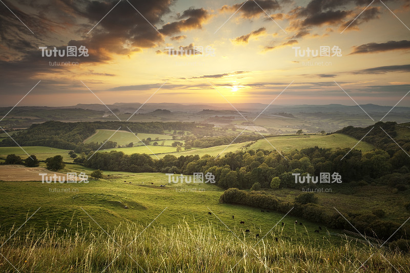 多塞特郡，英格兰乡村绿色山丘上的日落