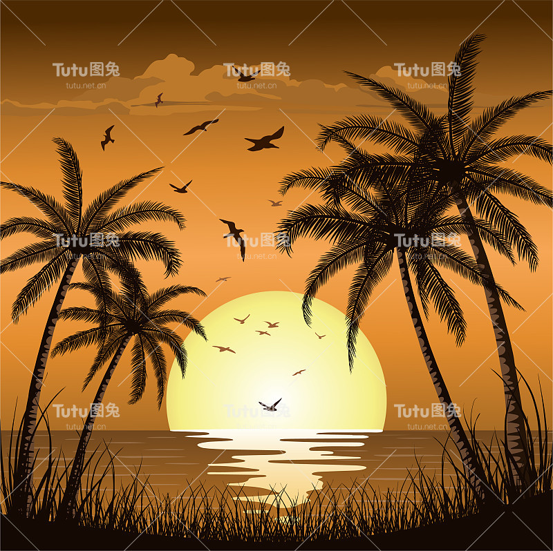 日落日出与海滩棕榈树的海洋岛