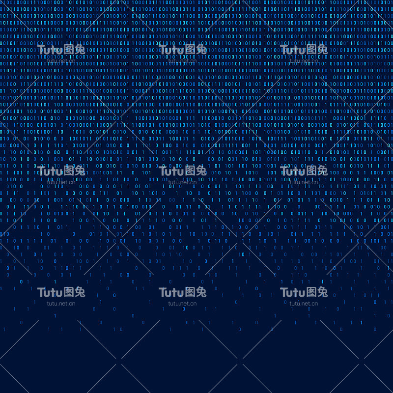 二进制代码
