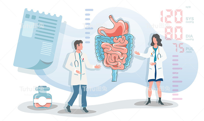 平面矢量图，两个医生谈论胃和消化系统