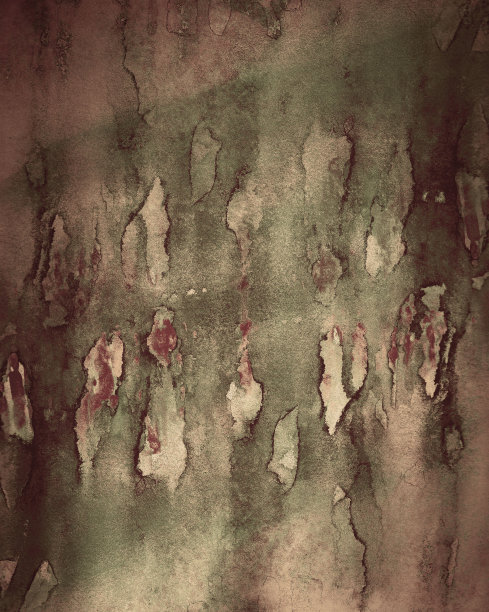 水彩自然画