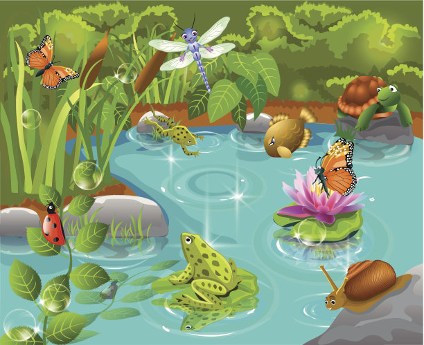 生活在池塘里的动物