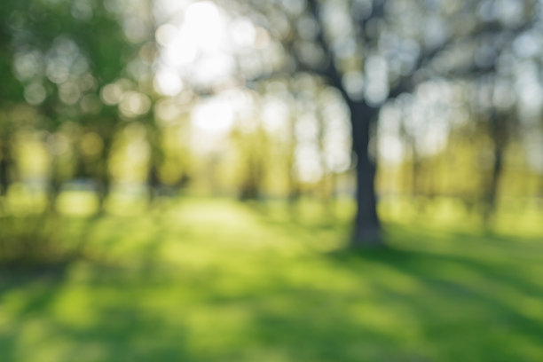 城市公园背景50mm镜头