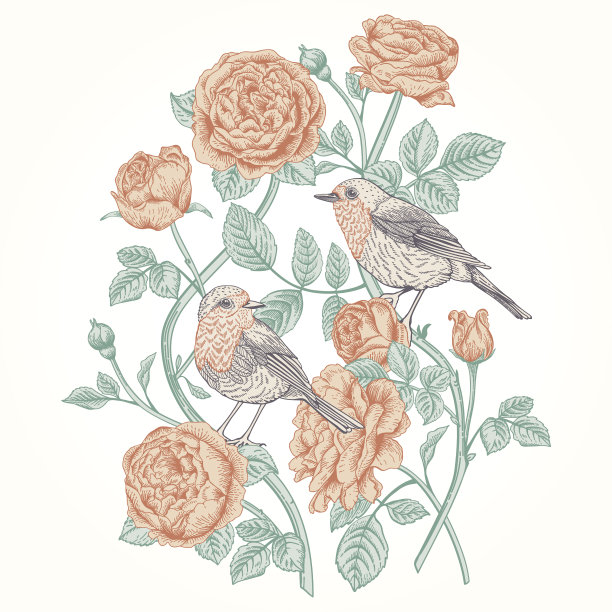 卡片上有玫瑰和小鸟。