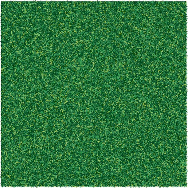 矢量抽象纹理与绿色草坪草为设计背景