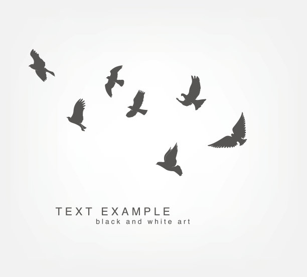 一群鸟儿在天空中飞翔