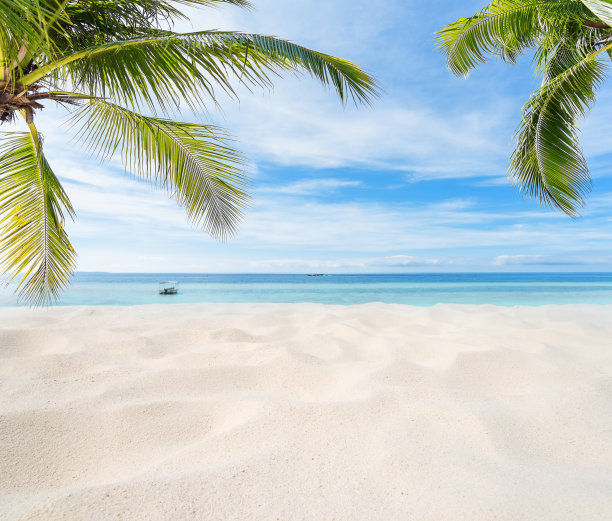 夏日热带海滩和蓝天背景