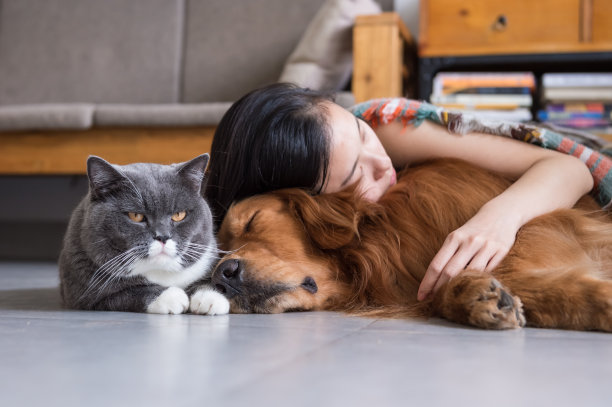 女孩和猫狗睡在一起