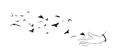 飞翔的小鸟和白色背景上的手的剪影。矢量插图。孤立的鸟飞和手。绘画解剖学。