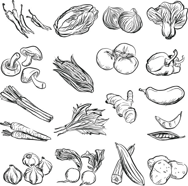 素描画蔬菜