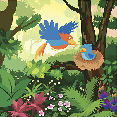 鸟在森林里喂小鸟