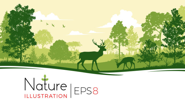 有鹿的森林背景