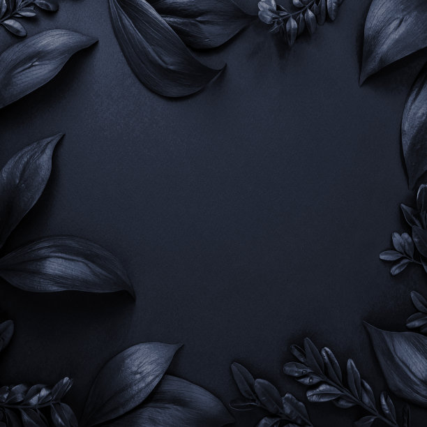 树叶的框架，黑色的背景。带有文本空间的模板