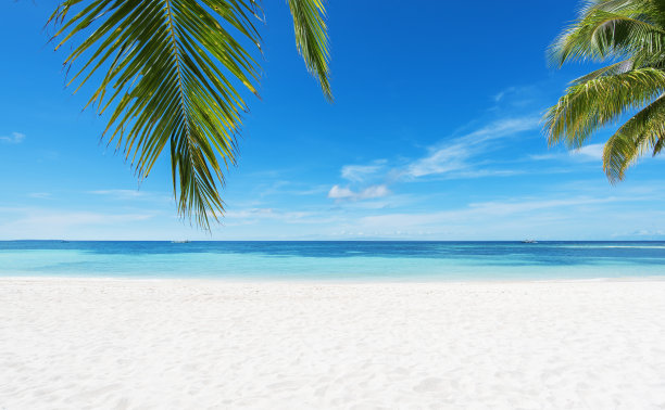 热带海滩夏季背景