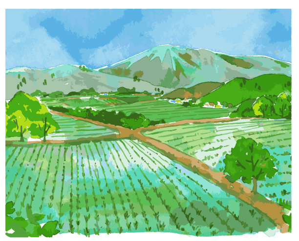 乡村景观与稻田和山脉