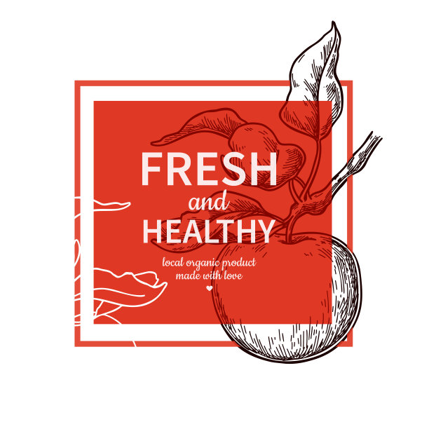 苹果标签矢量画。果汁或苹果酒的水果雕刻模板。手绘夏季插图。