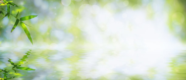 竹叶在水中有倒影，随散景。