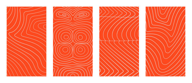 矢量鲑鱼片和鱼排质地。一套垂直背景，横幅，社会故事