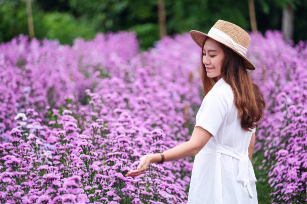 玛格丽特花圃里的一位年轻美丽的亚洲女子