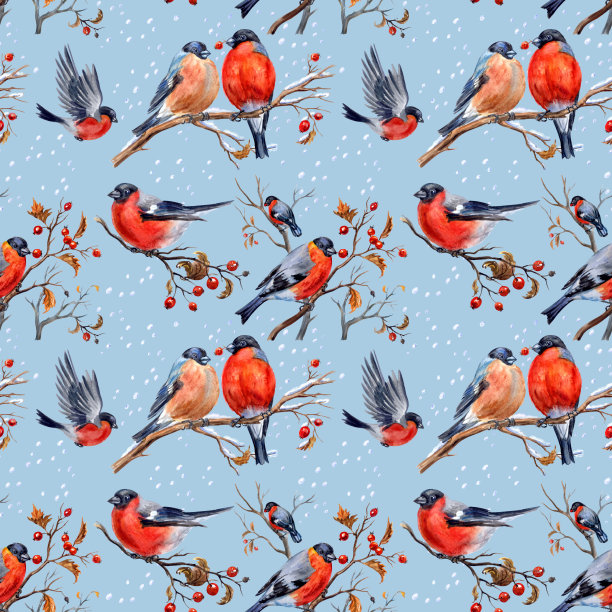 红腹灰雀无缝图案，水彩插图