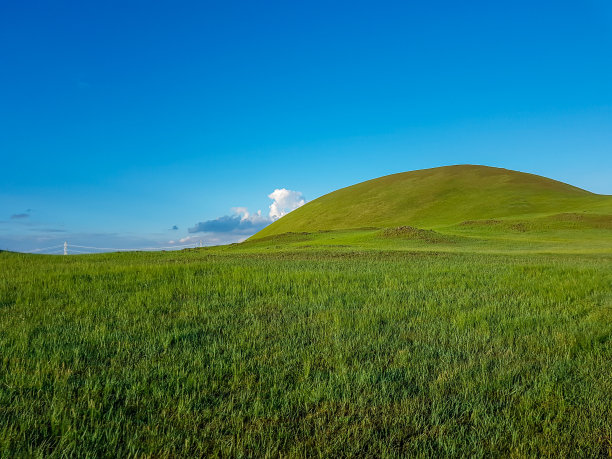 锡林浩特-在内蒙古锡林浩特丘陵景观的全景。一望无际的草原，中间有几朵野花