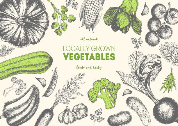 蔬菜顶视图框架。农贸市场菜单设计。有机食品的海报。复古手绘草图矢量插图。线性图形。