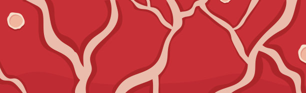 全景真实的肉牛肉背景，web模板-矢量