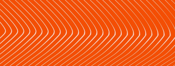 鲑鱼鱼图案。鲑鱼鱼片边界的矢量插图，红色背景与白色线条。鱼肉纹理寿司广告传单，菜单设计，装饰餐厅亚洲或日本食品