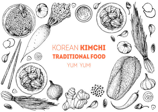 泡菜烹饪及泡菜配料，素描插图。韩国菜。健康食品，设计元素。手绘、包装设计。亚洲食物