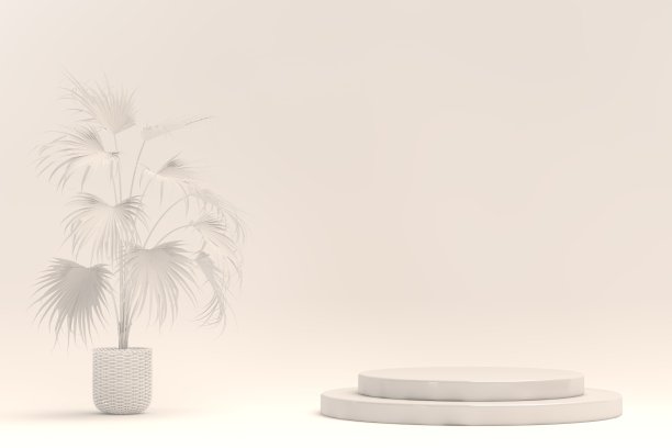 空的展台用于展示产品和盆栽植物