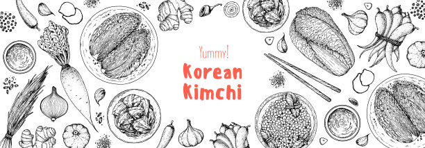 泡菜烹饪及泡菜配料，素描插图。韩国菜。健康食品，设计元素。手绘、包装设计。亚洲食物