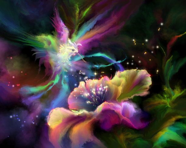 神奇的仙子花和天堂鸟